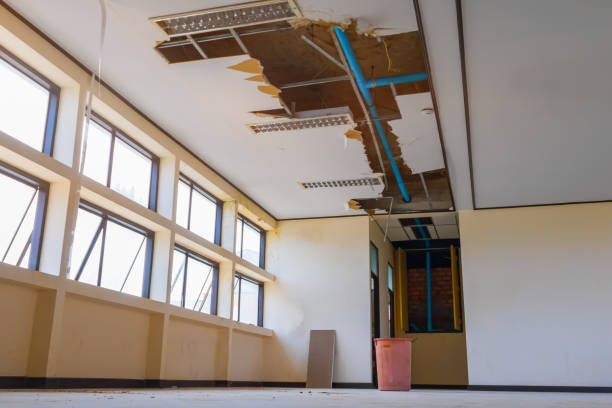Best Professional water damage repair  in North Bonneville, WA