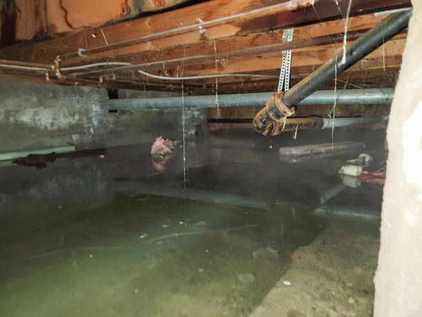 Sewage cleanup and water damage restoration in North Bonneville, WA