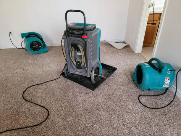 Best Water damage cleanup near me  in North Bonneville, WA