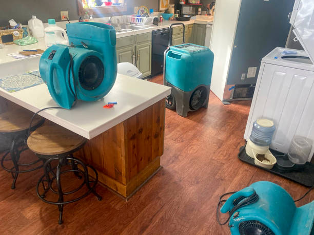 Best Water damage restoration company  in North Bonneville, WA