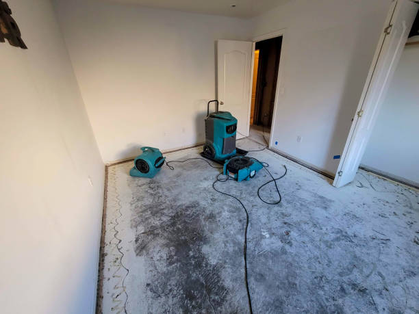 Best Mold removal after water damage  in North Bonneville, WA