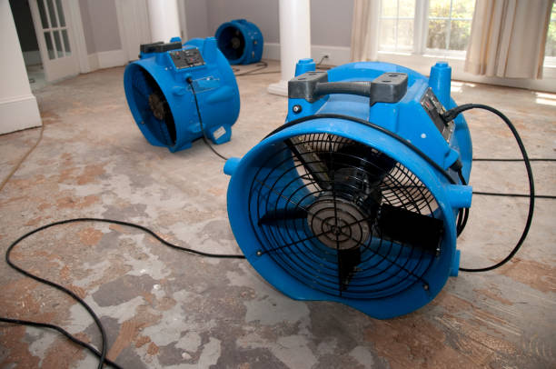 Best Basement water damage restoration  in North Bonneville, WA