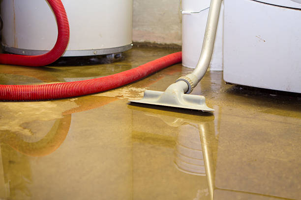 Best Local water damage restoration  in North Bonneville, WA
