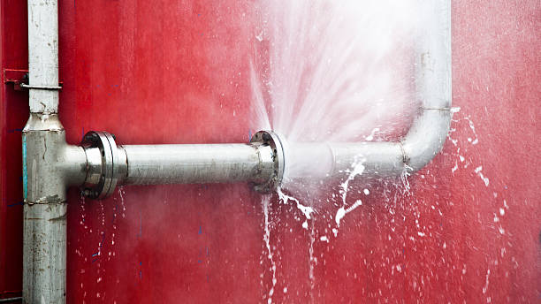 Best Flooded house restoration  in North Bonneville, WA