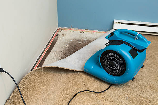 Best Water damage restoration near me  in North Bonneville, WA