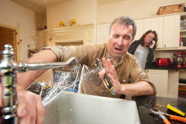 Best Professional water damage repair  in North Bonneville, WA